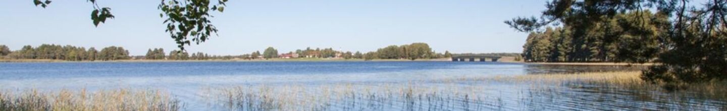 Dalälven och den grönskande stranden vid Skaparbyn