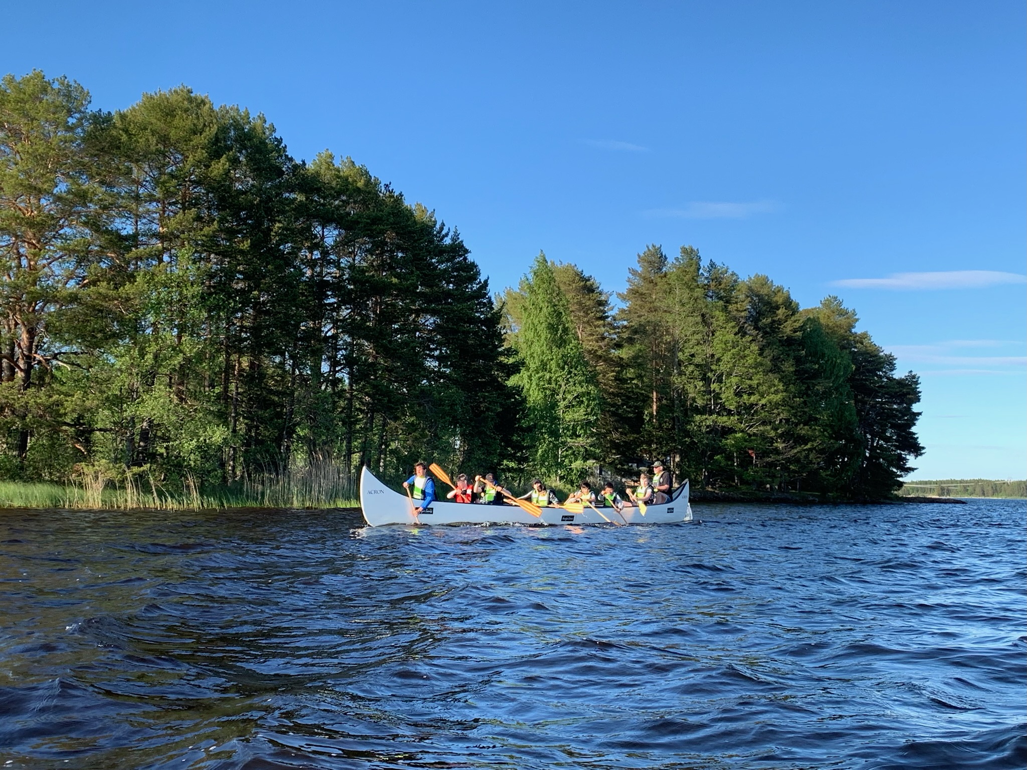En grupp paddlar kanot på älven vid en skogklädd strand
