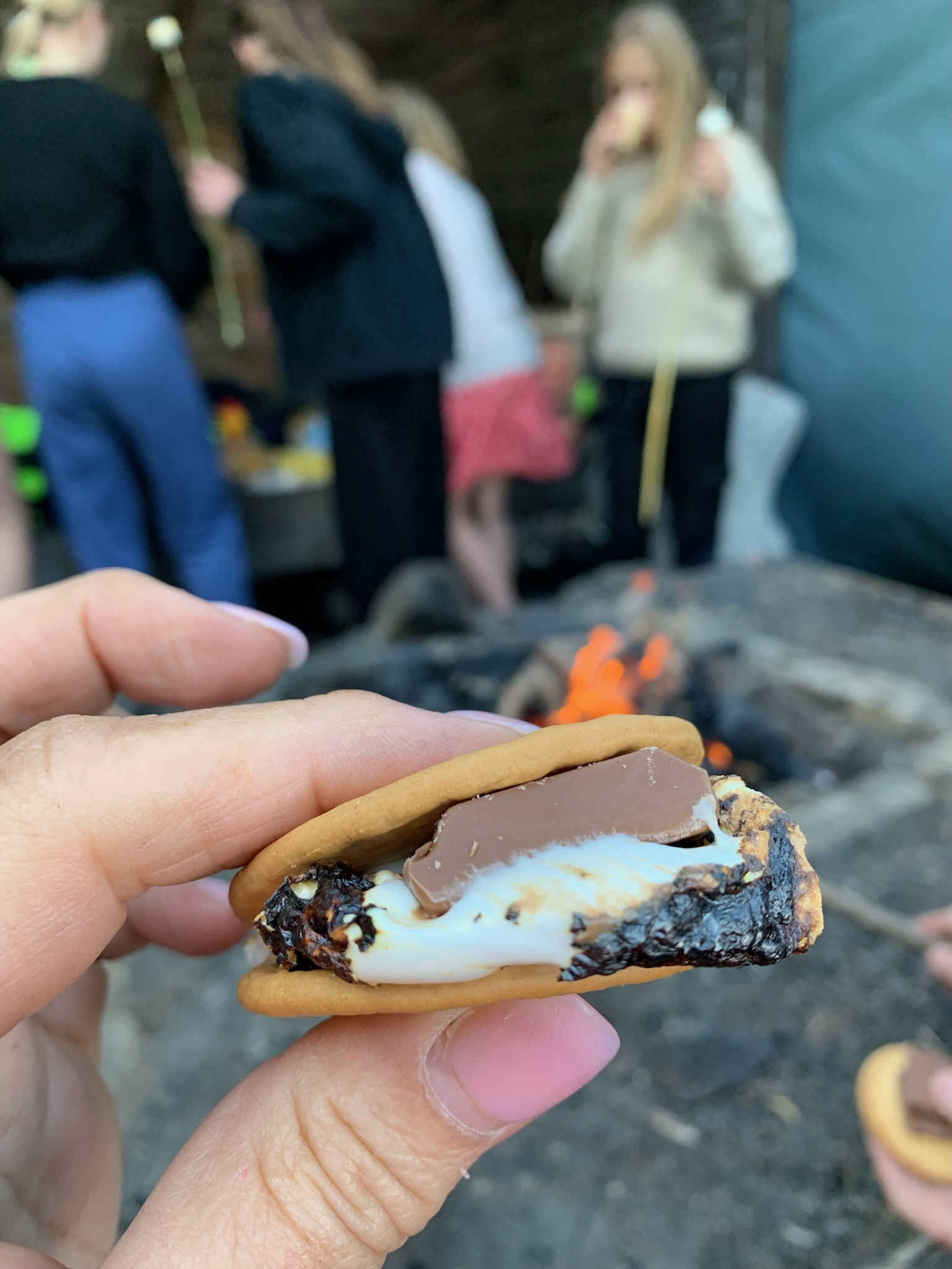 Grillad marshmallow och choklad mellan kex vid en lägereld