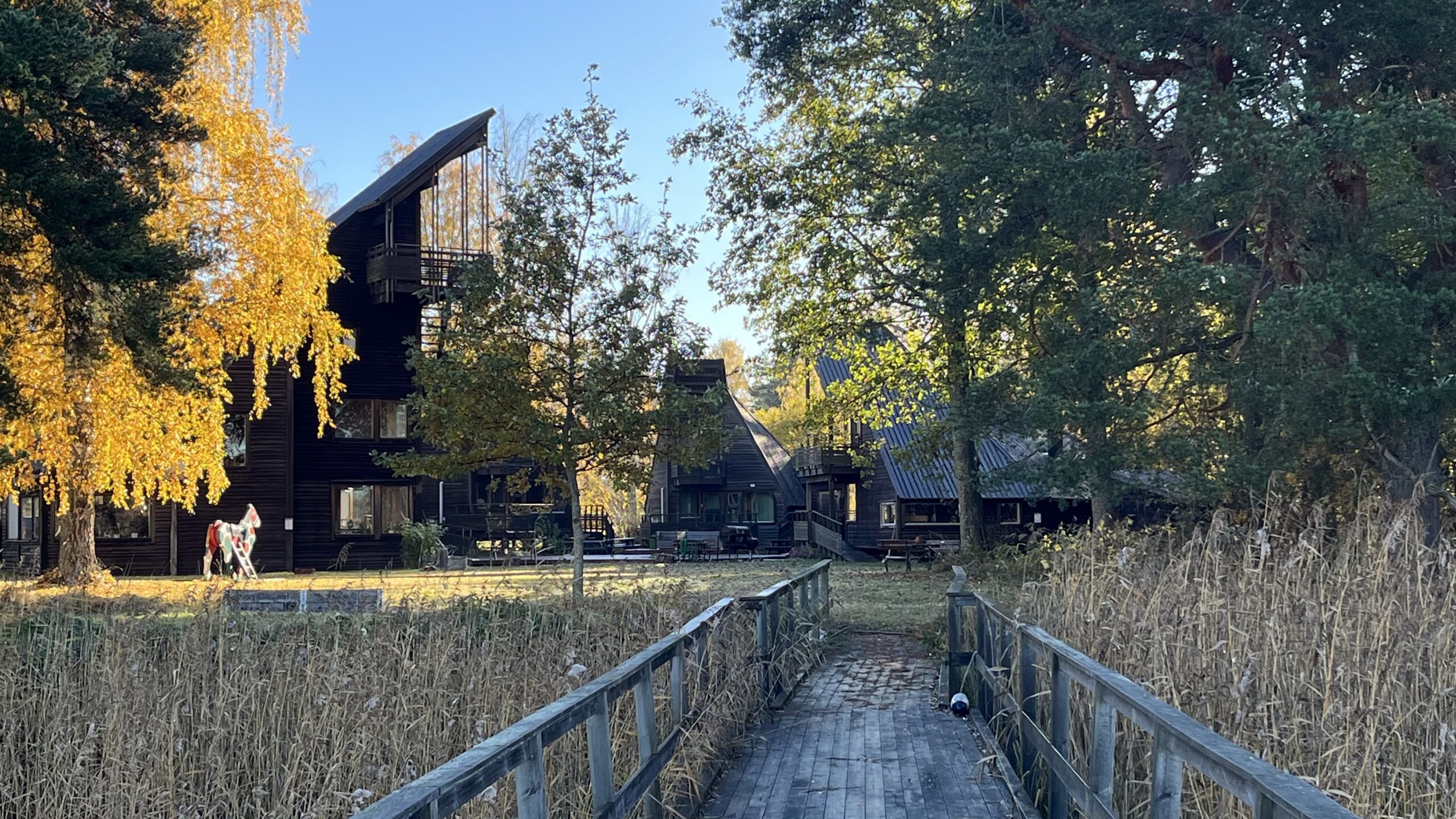 Skaparbyns trähus och gångbron från vattnet, omgivna av höstgula björkar